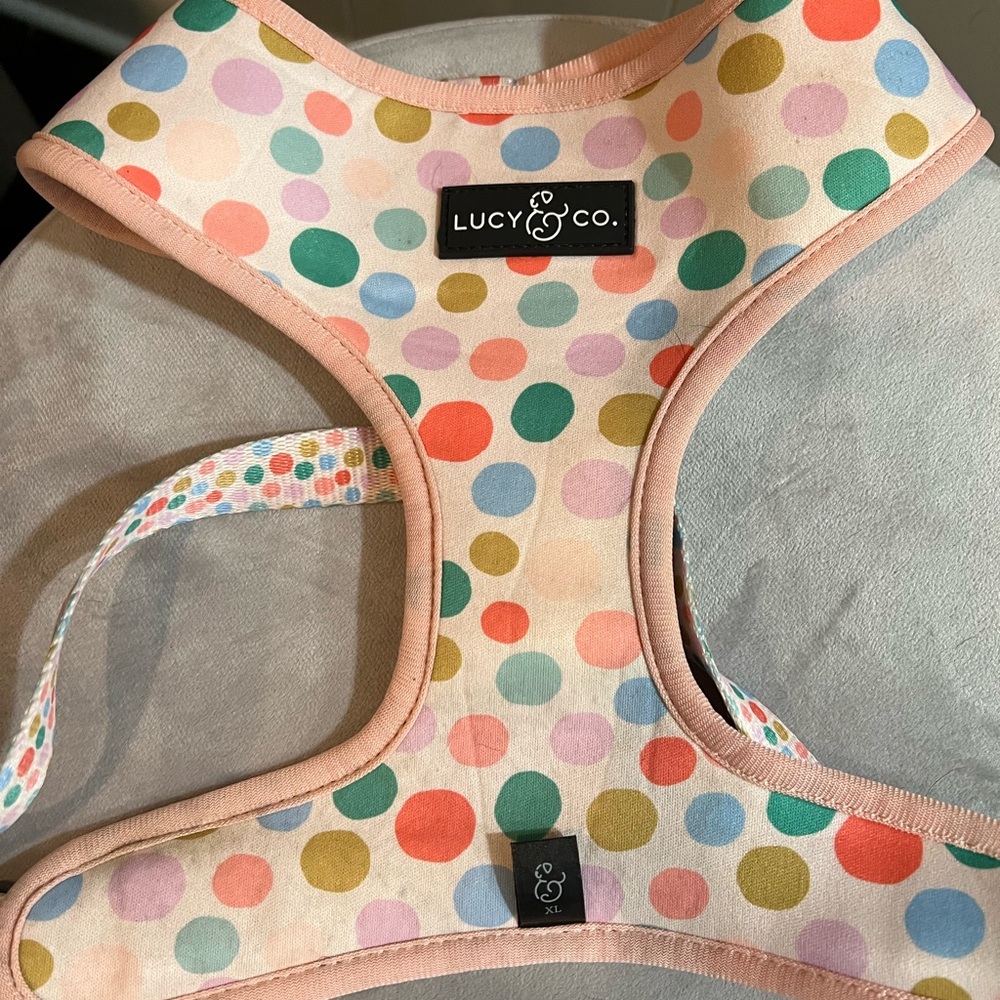 Reversible dog harness